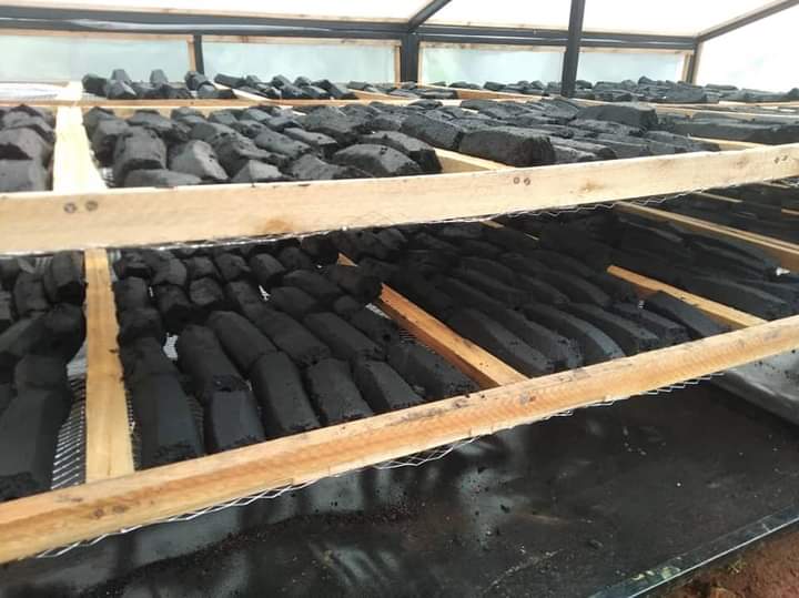 Concerned Generation Network