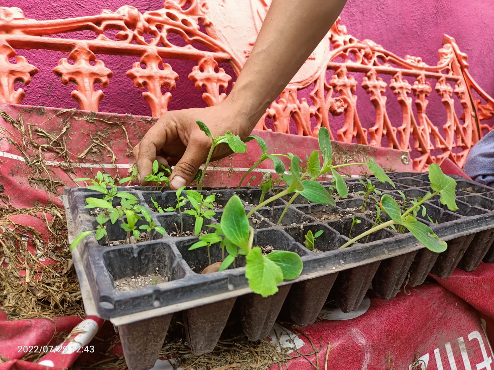 7f4b207c-9fc0-4849-af49-bbfb24a2762c