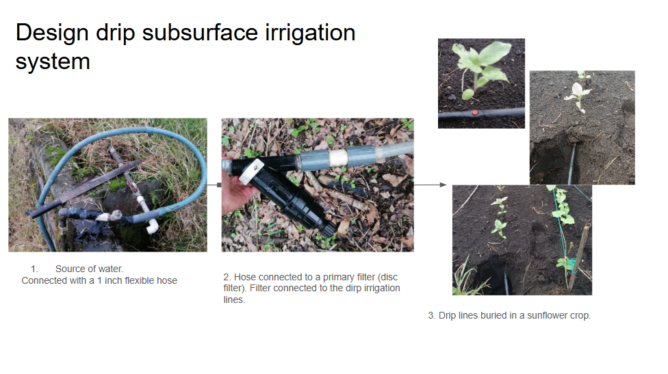 Drip Subsurface photo 2
