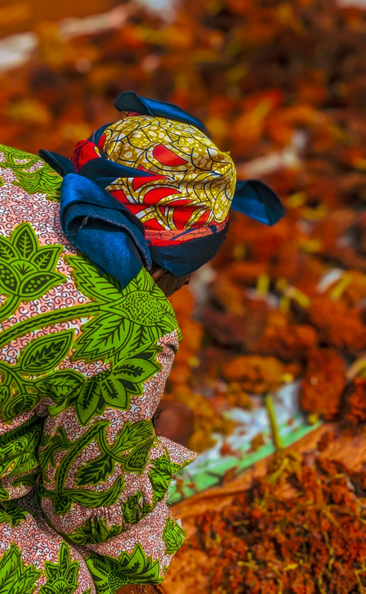 Rural smallholder farmers drying their successful sorghum harvest under the sun in the mountainous wetlands of Kabare. @Kilimo Green Farm, ‎‎2025