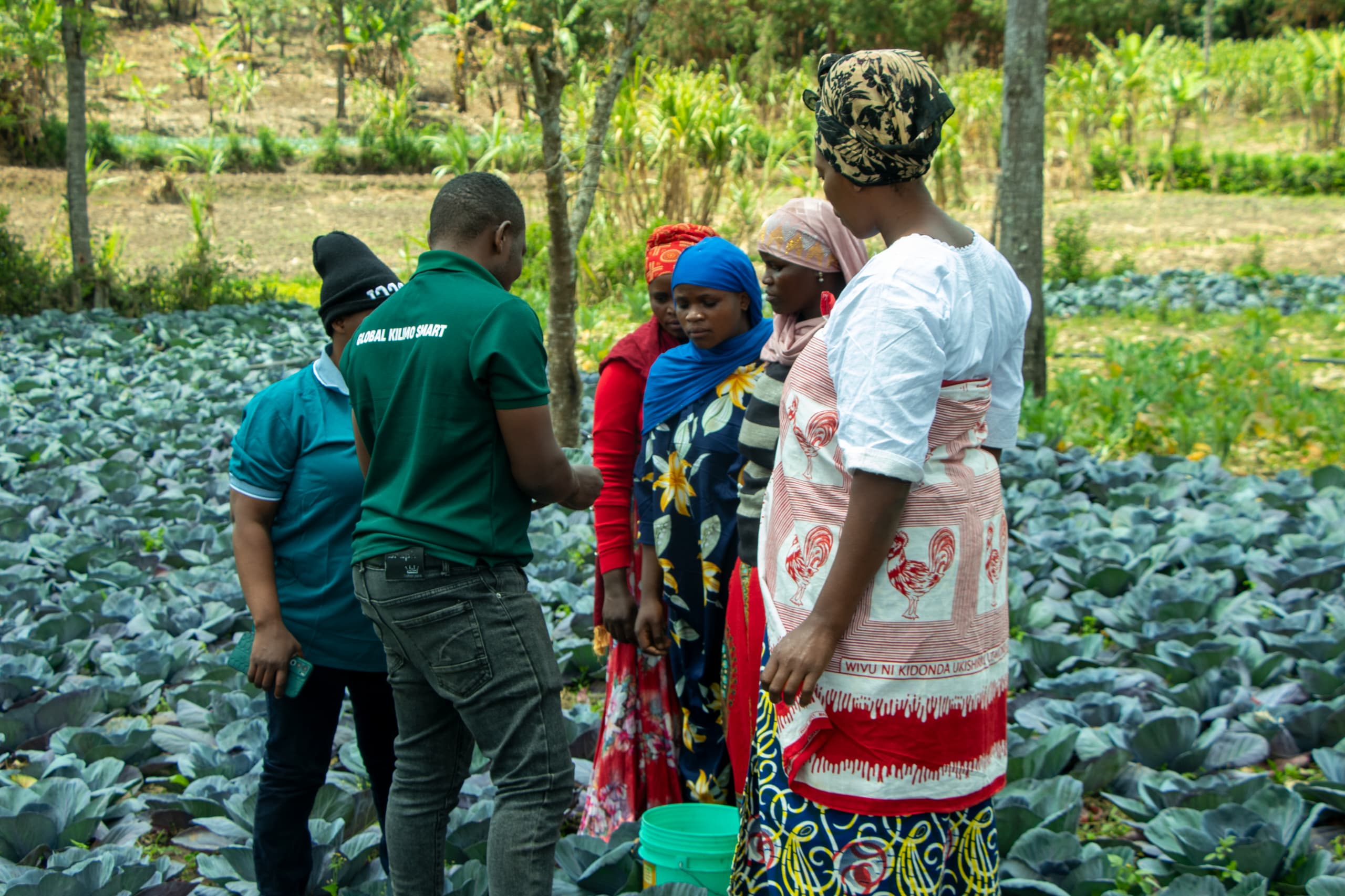 Kilimo Smart Initiative - Community and Solution